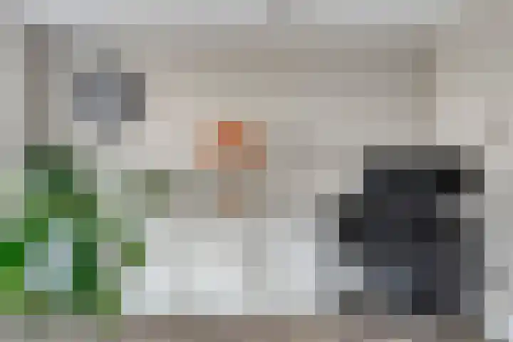 Oeverwal 3 Hendrik-Ido-Ambacht thumbnail 8