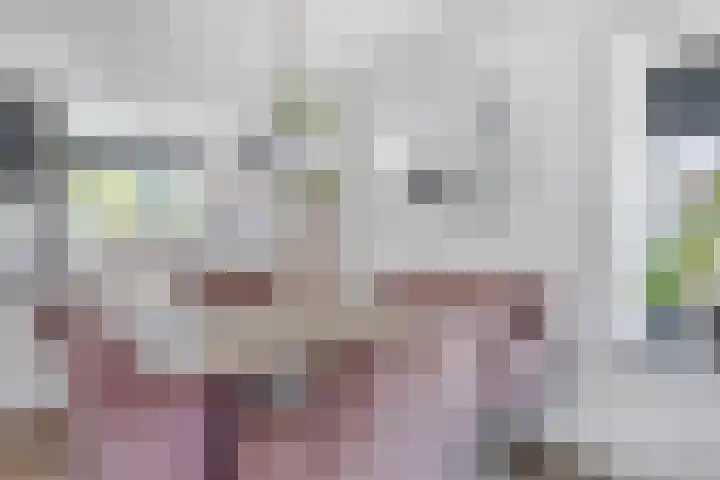 Oeverwal 3 Hendrik-Ido-Ambacht thumbnail 9