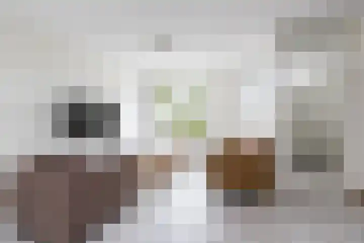 Oeverwal 38 Zaltbommel thumbnail 10