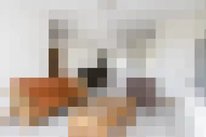 Oeverwal 38 Zaltbommel thumbnail 12