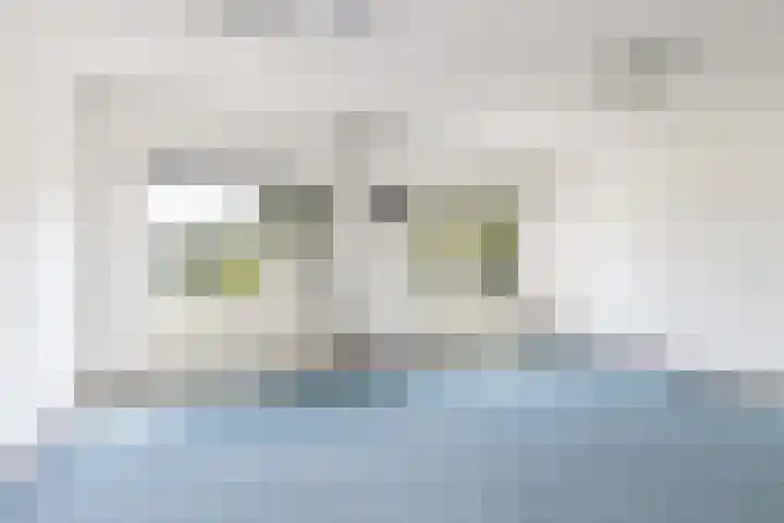 Oeverwal 38 Zaltbommel thumbnail 20