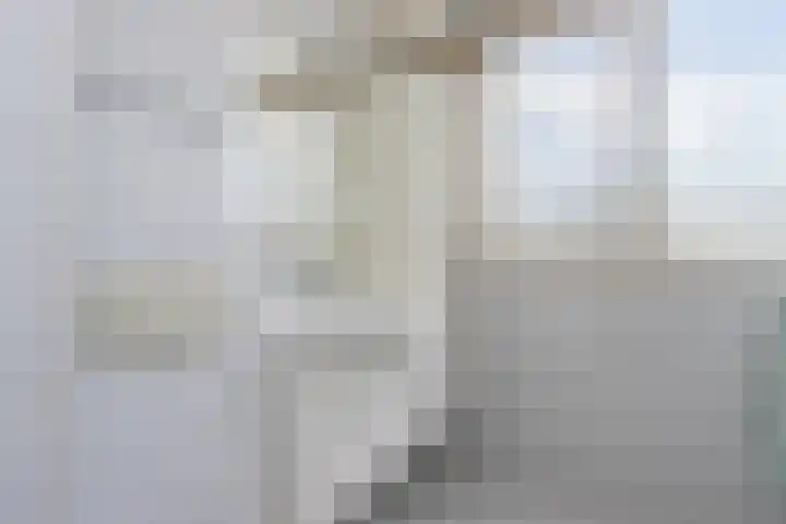 Oeverwal 38 Zaltbommel thumbnail 27