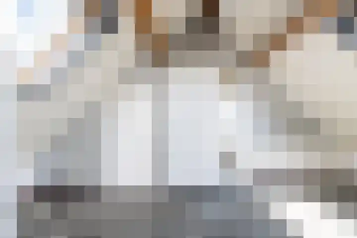 Oeverwal 38 Zaltbommel thumbnail 35