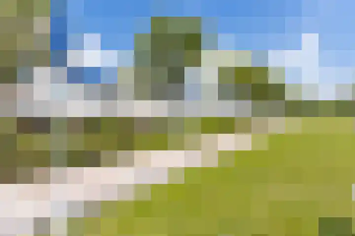 Oeverwal 38 Zaltbommel thumbnail 49