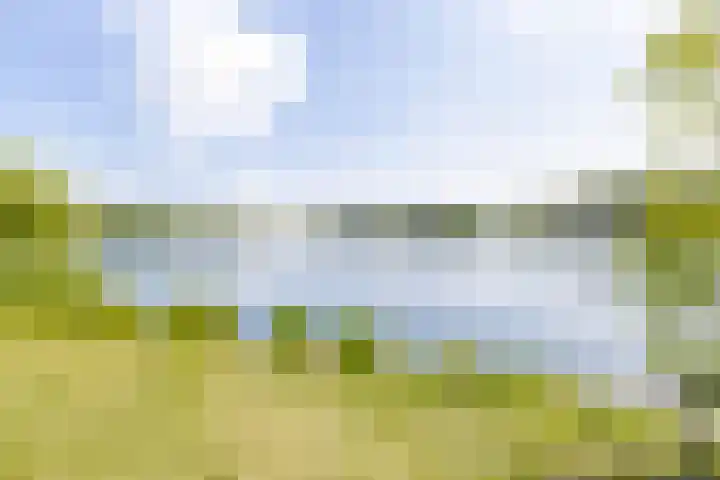 Oeverwal 38 Zaltbommel thumbnail 53