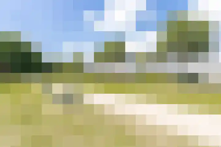 Oeverwal 38 Zaltbommel thumbnail 55