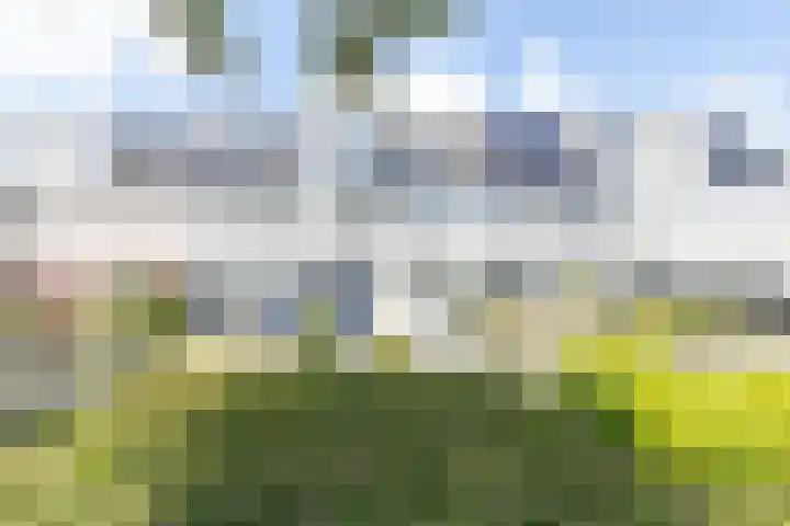 Oeverwal 38 Zaltbommel thumbnail 63