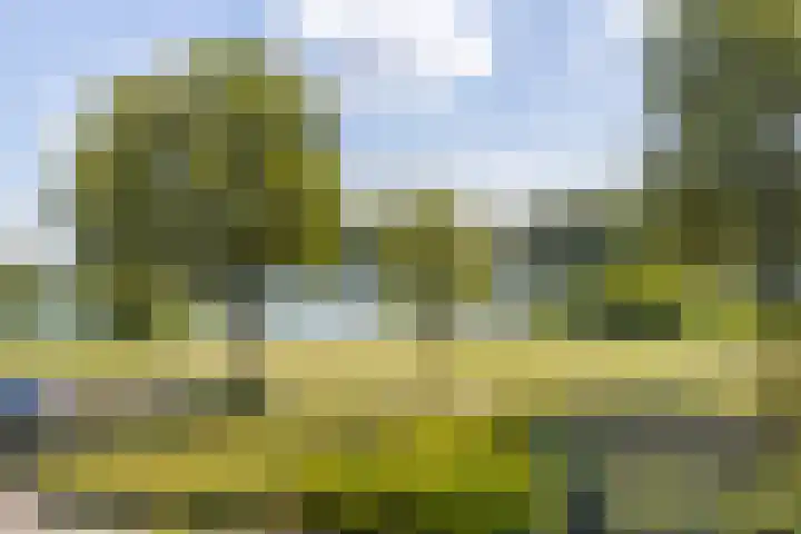 Oeverwal 38 Zaltbommel thumbnail 69