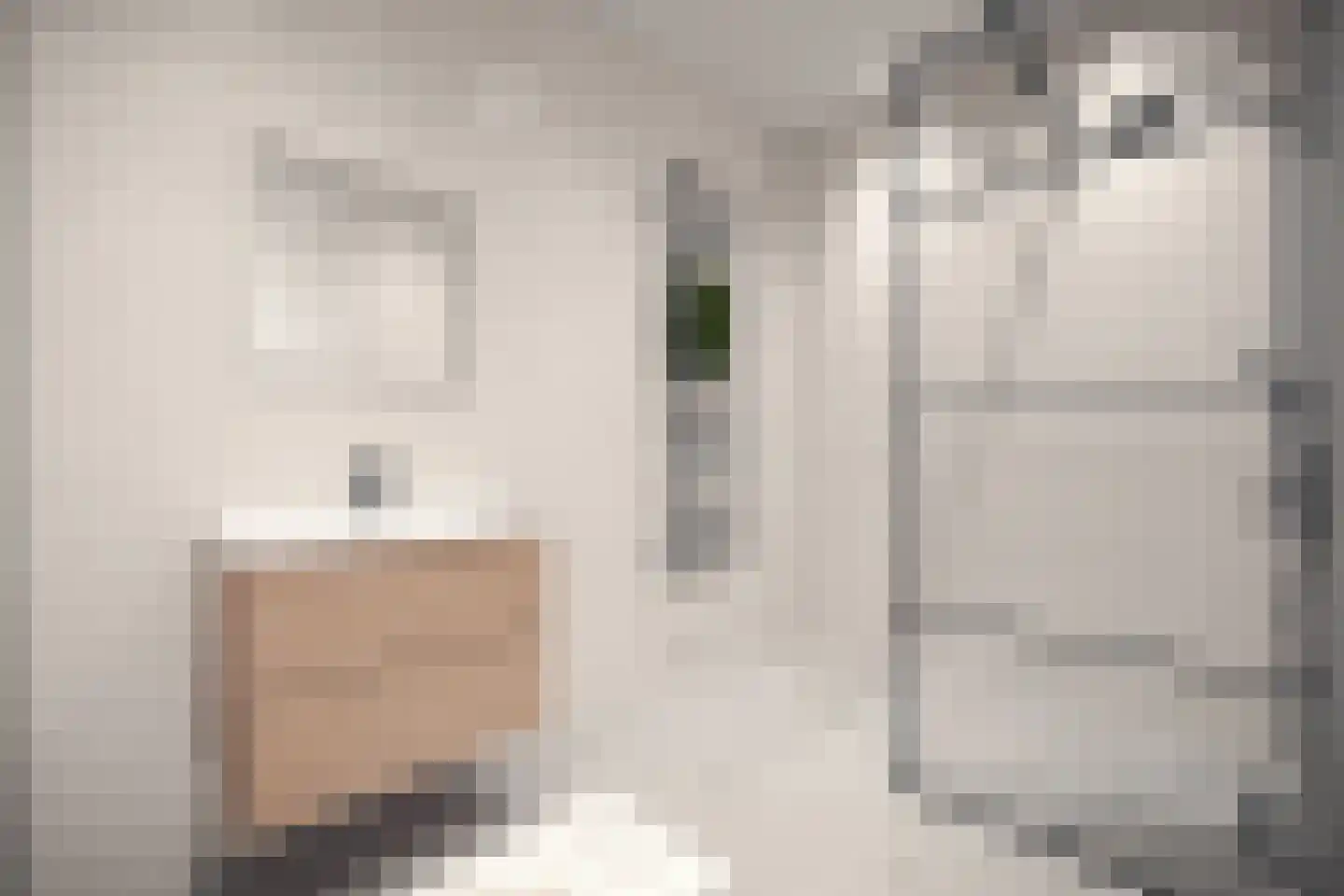 Oeverwal 4 Sint Philipsland thumbnail 5