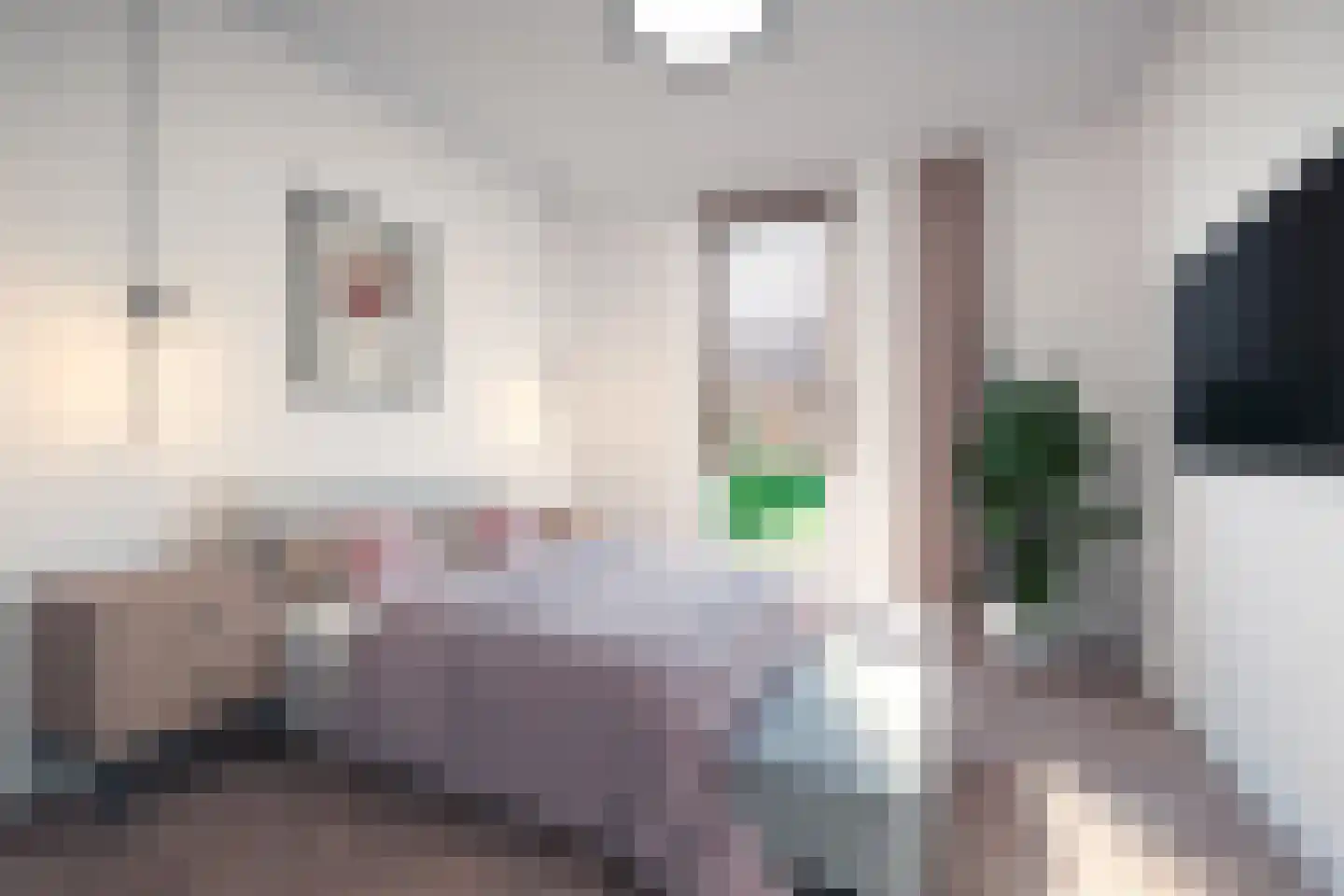 Oeverwal 7 Sint Philipsland thumbnail 4