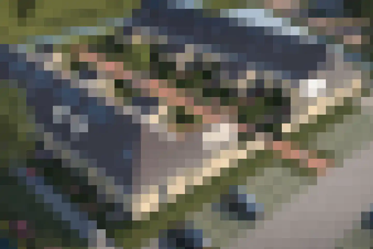 Oeverwal 7 Sint Philipsland thumbnail 6