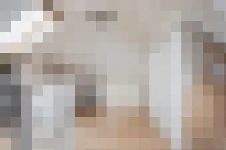 Oeverwal 8 Hoogwoud thumbnail 20