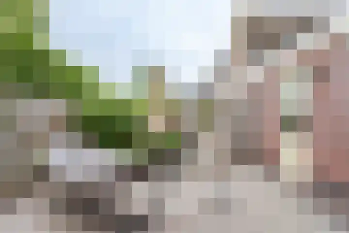 Oeverwal 8 Hoogwoud thumbnail 23