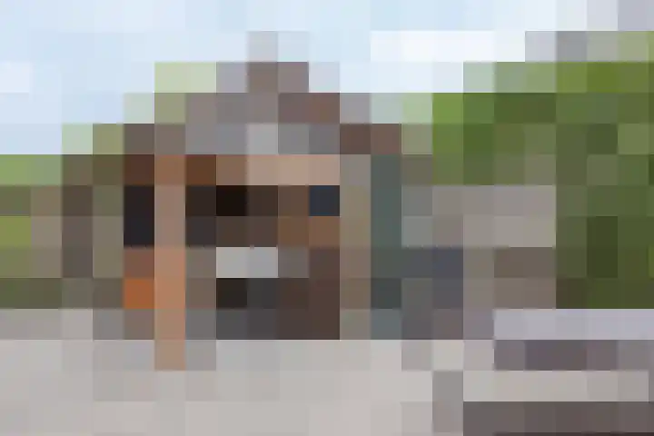 Oeverwal 8 Hoogwoud thumbnail 24