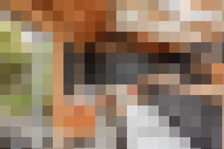 Oeverwal 8 Hoogwoud thumbnail 25