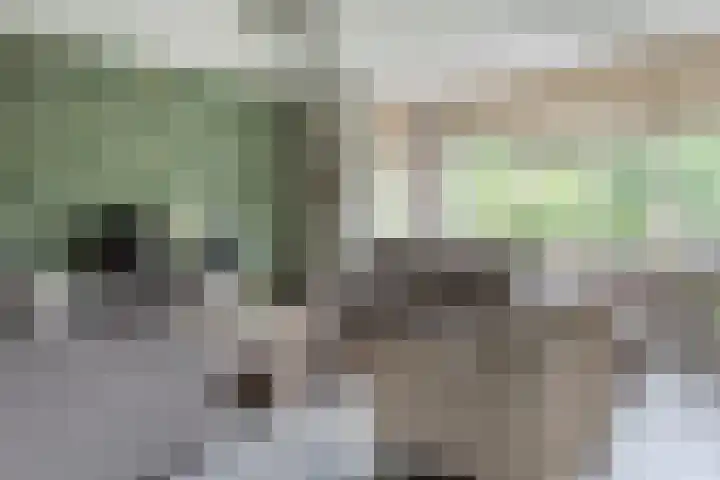 Oeverwal 8 Hoogwoud thumbnail 5