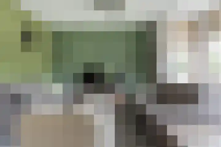 Oeverwal 8 Hoogwoud thumbnail 6