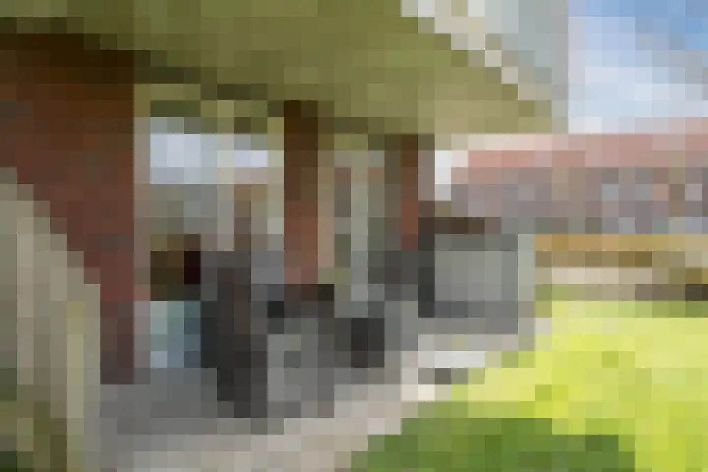 Oeverwal 99 Hoogwoud thumbnail 13