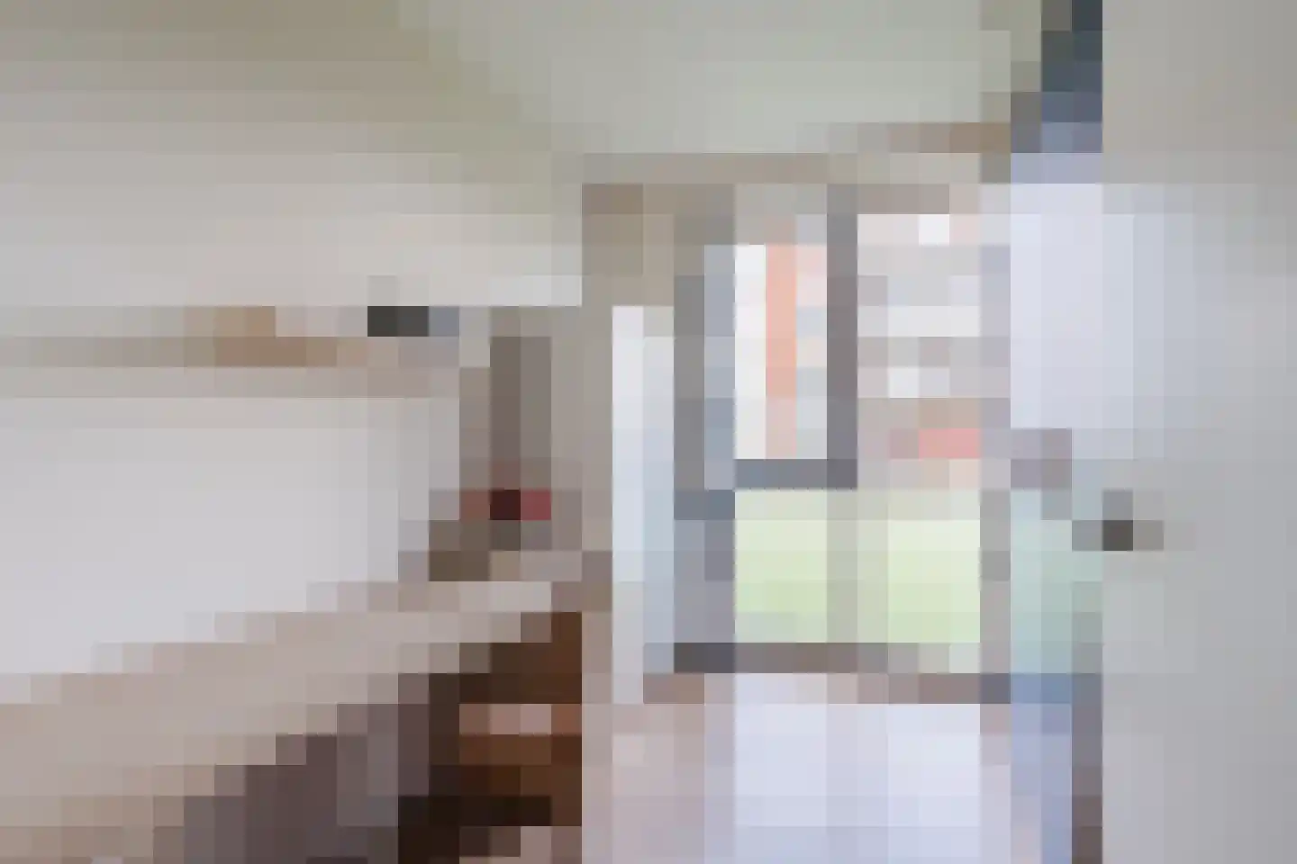 Oeverwal 99 Hoogwoud thumbnail 17