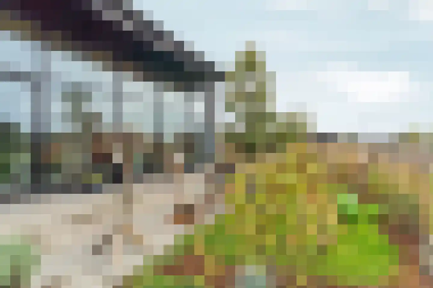 Oeverwalhof 2 Almere thumbnail 44