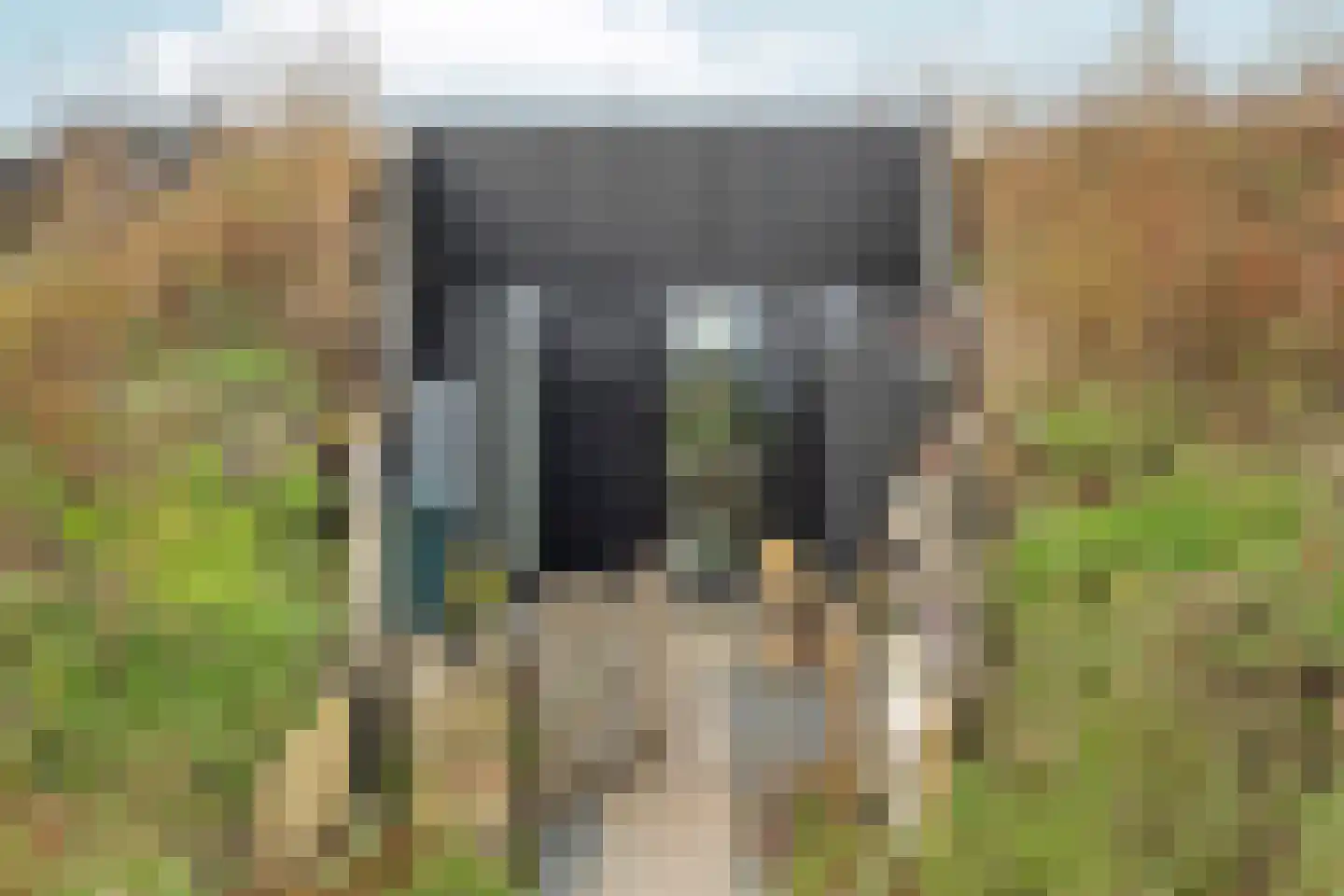 Oeverwalhof 2 Almere thumbnail 50