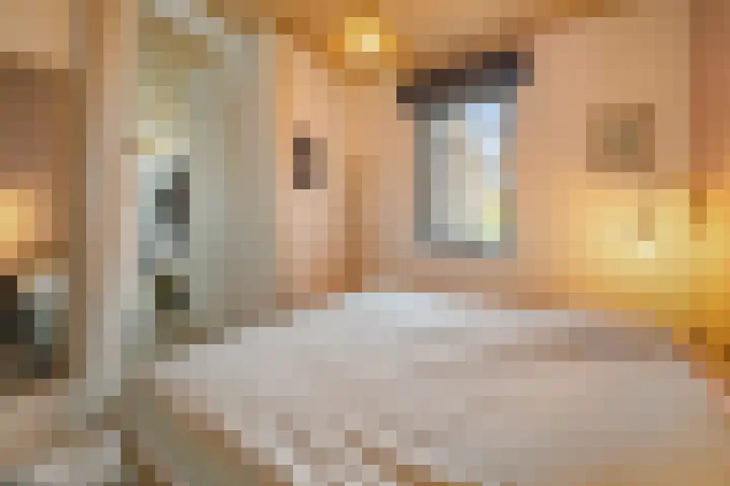 Oeverwalhof 32 Almere thumbnail 24