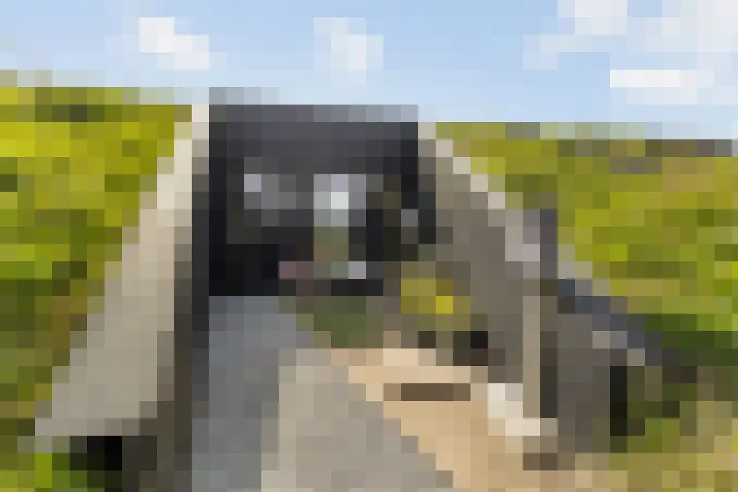 Oeverwalhof 32 Almere thumbnail 4