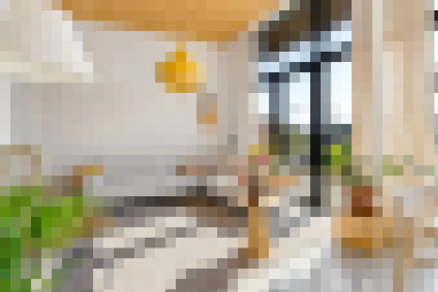 Oeverwalhof 54 Almere thumbnail 12