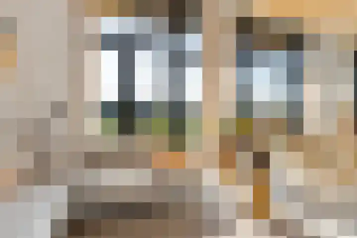 Oeverwalhof 54 Almere thumbnail 20