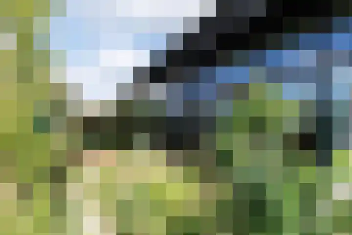 Oeverwalhof 57 Almere thumbnail 37