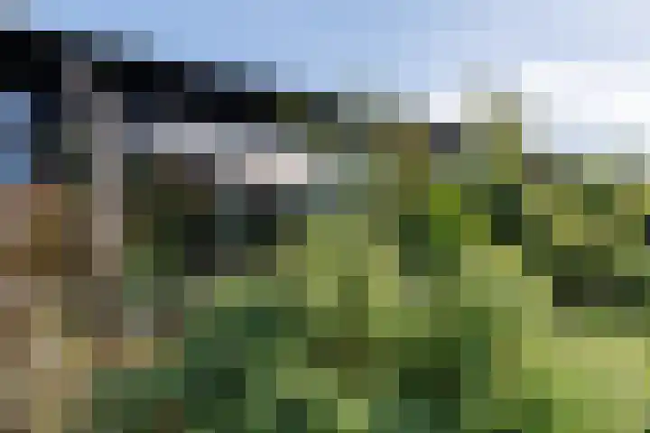 Oeverwalhof 57 Almere thumbnail 39