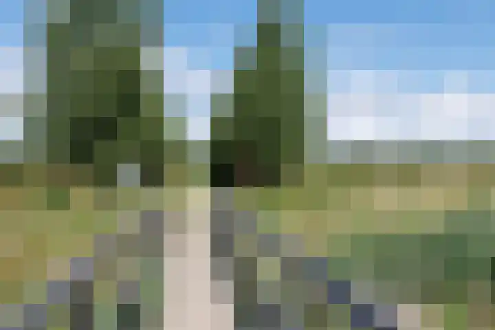 Oeverwalhof 57 Almere thumbnail 45