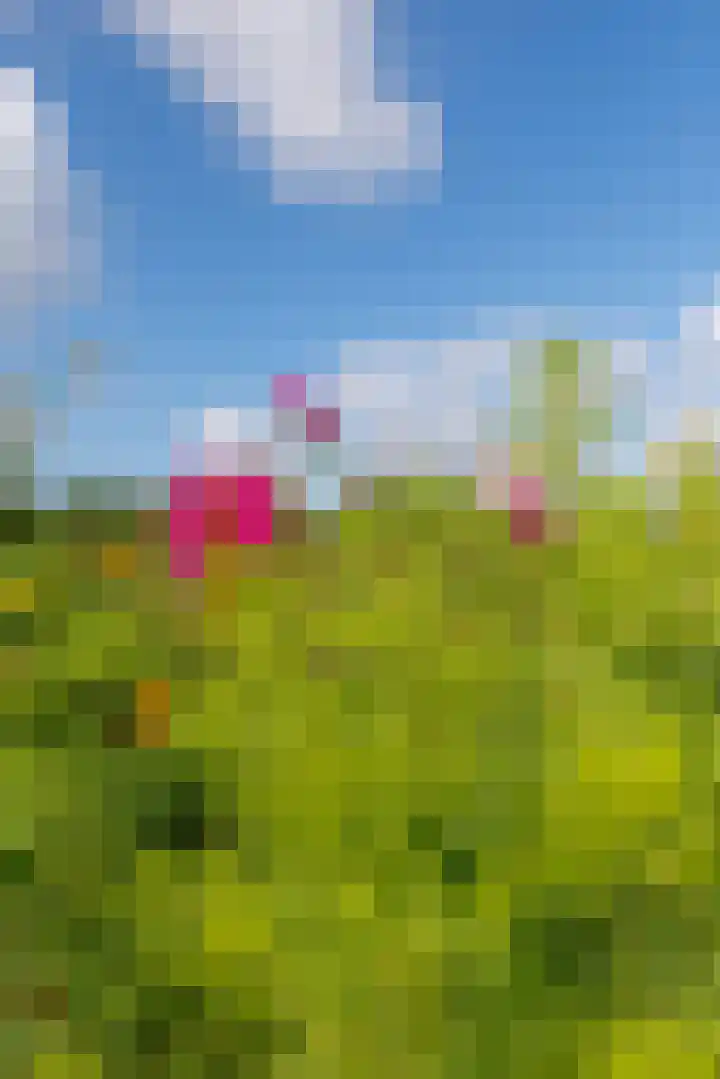 Oeverwalhof 57 Almere thumbnail 47