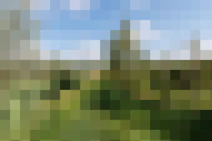 Oeverwalhof 57 Almere thumbnail 48