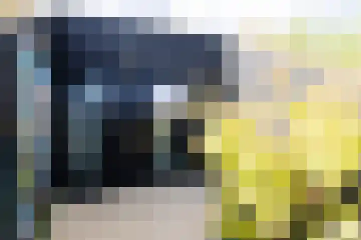 Oeverwalhof 57 Almere thumbnail 6