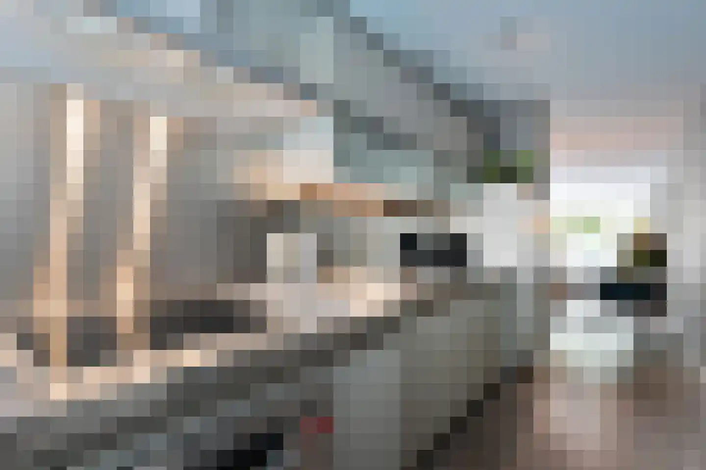 Oeverwallaan 17 Den Haag thumbnail 10