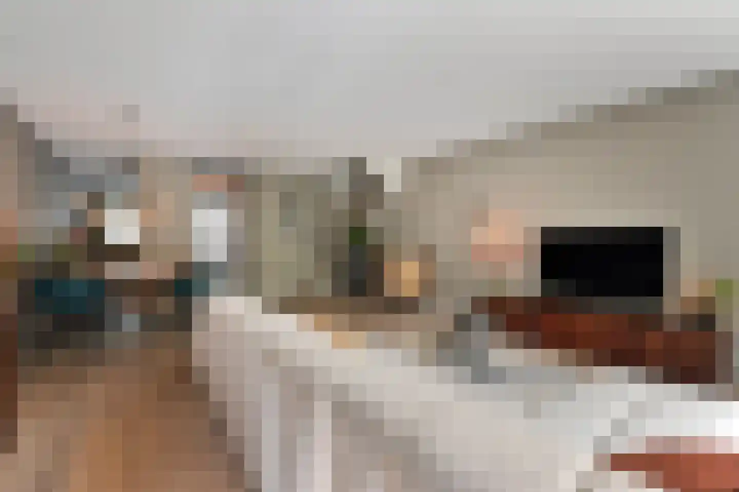 Oeverwallaan 17 Den Haag thumbnail 11