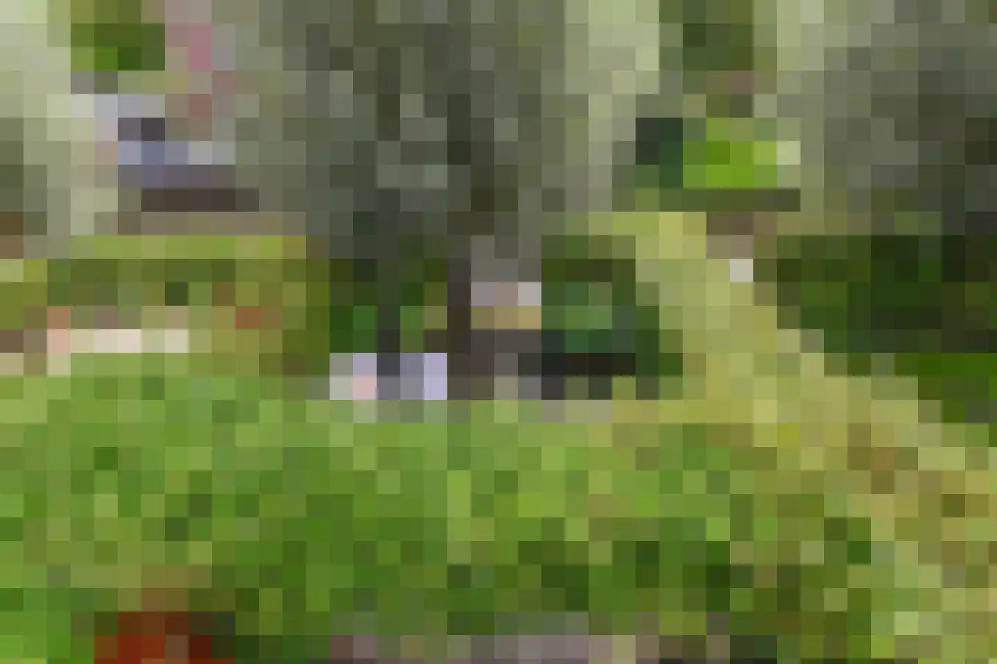 Oeverwallaan 17 Den Haag thumbnail 18