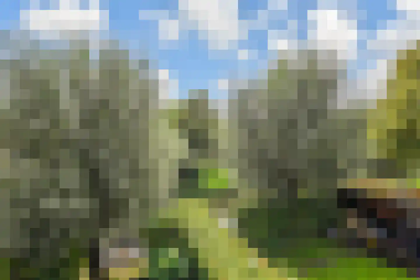 Oeverwallaan 17 Den Haag thumbnail 19