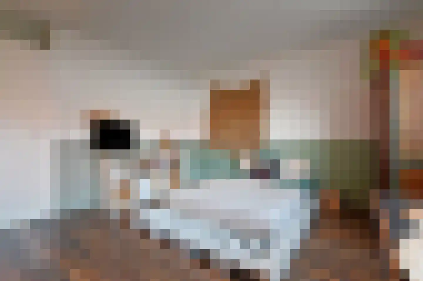 Oeverwallaan 17 Den Haag thumbnail 27