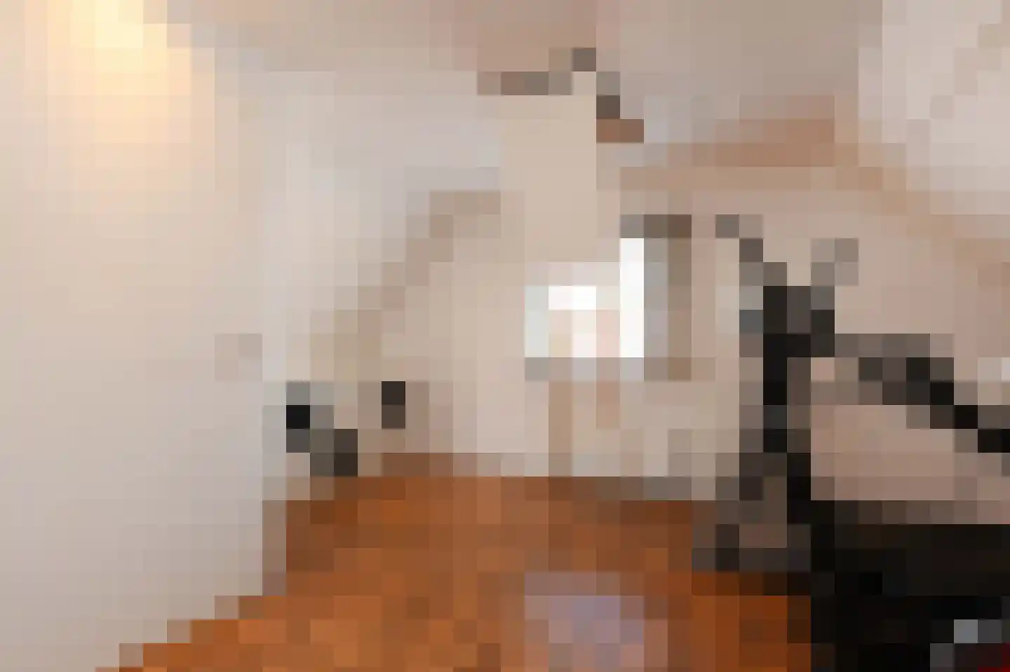 Oeverwallaan 17 Den Haag thumbnail 37