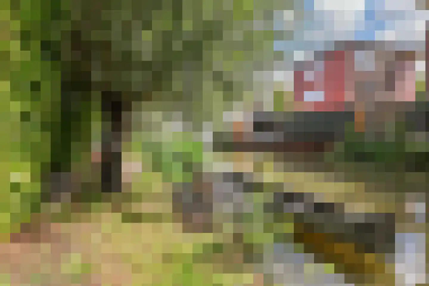 Oeverwallaan 17 Den Haag thumbnail 42