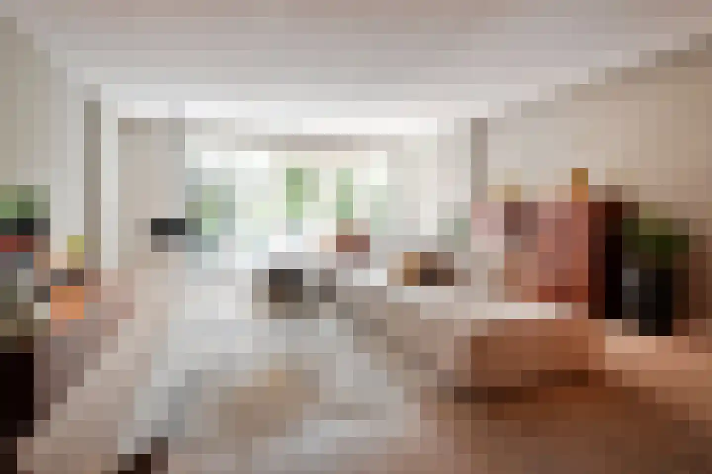 Oeverwallaan 17 Den Haag thumbnail 6