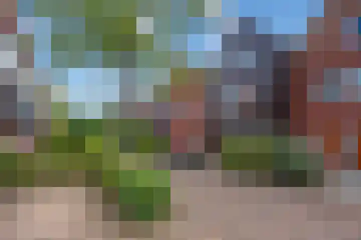 Oeverwallaan 41 Den Haag thumbnail 31
