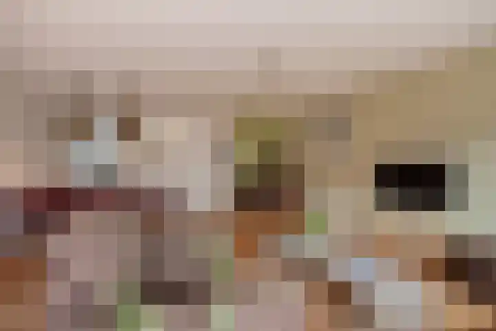 Oeverwallaan 41 Den Haag thumbnail 6
