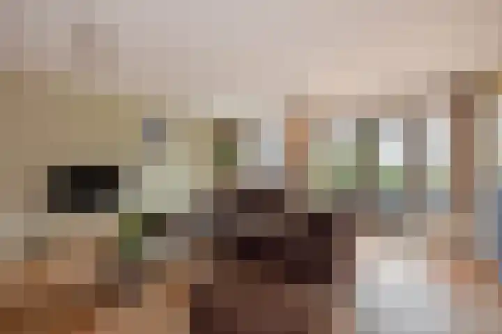Oeverwallaan 41 Den Haag thumbnail 7