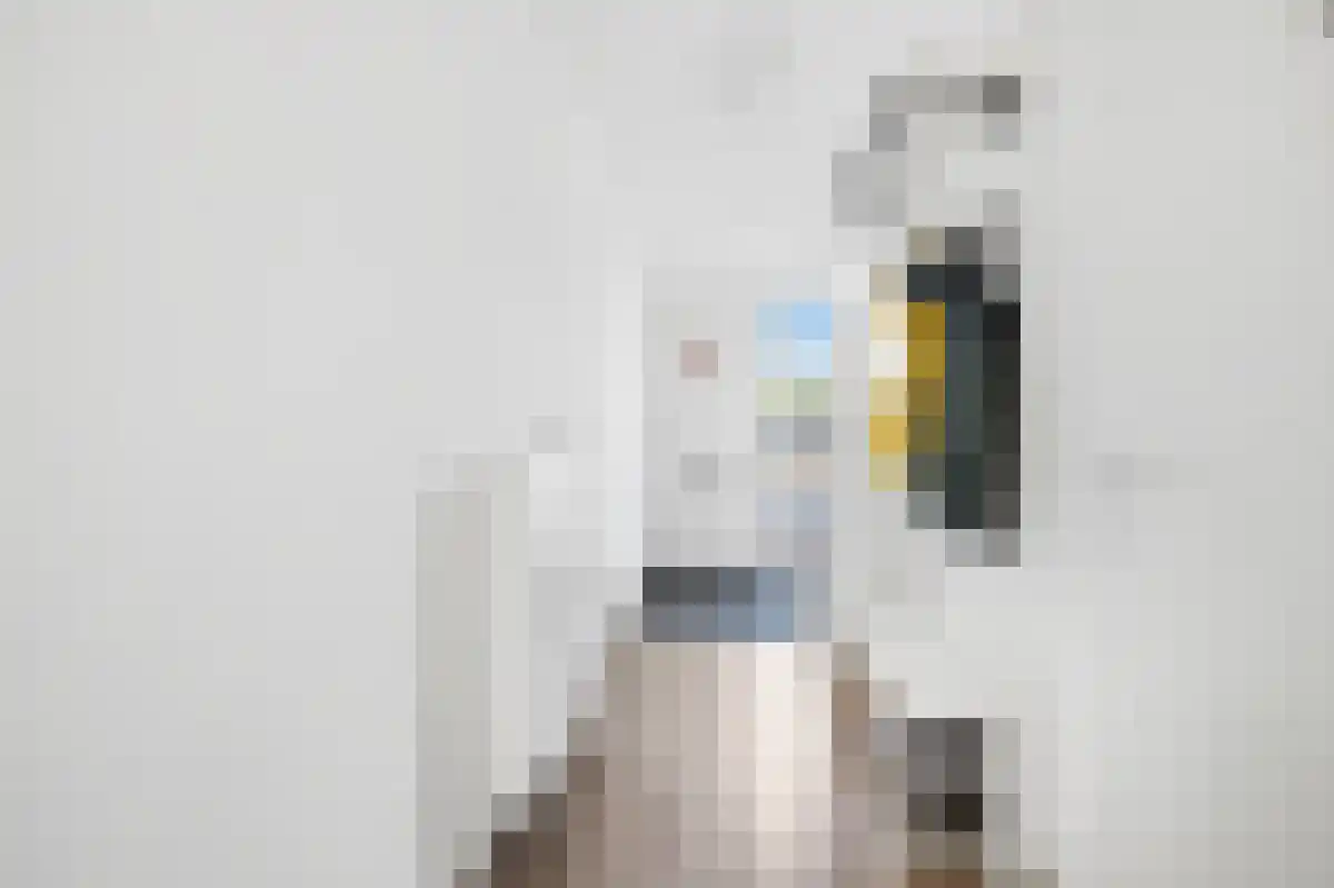 Oeverwallaan 77 Den Haag thumbnail 4