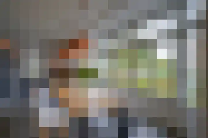 Oeverwalpark 2 Vleuten thumbnail 12