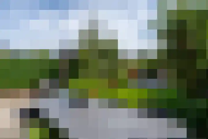 Oeverwalpark 2 Vleuten thumbnail 18