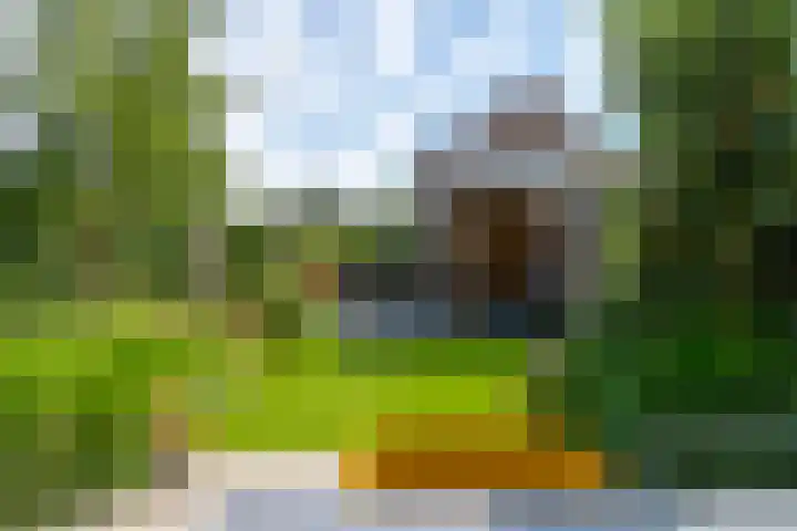 Oeverwalpark 2 Vleuten thumbnail 19